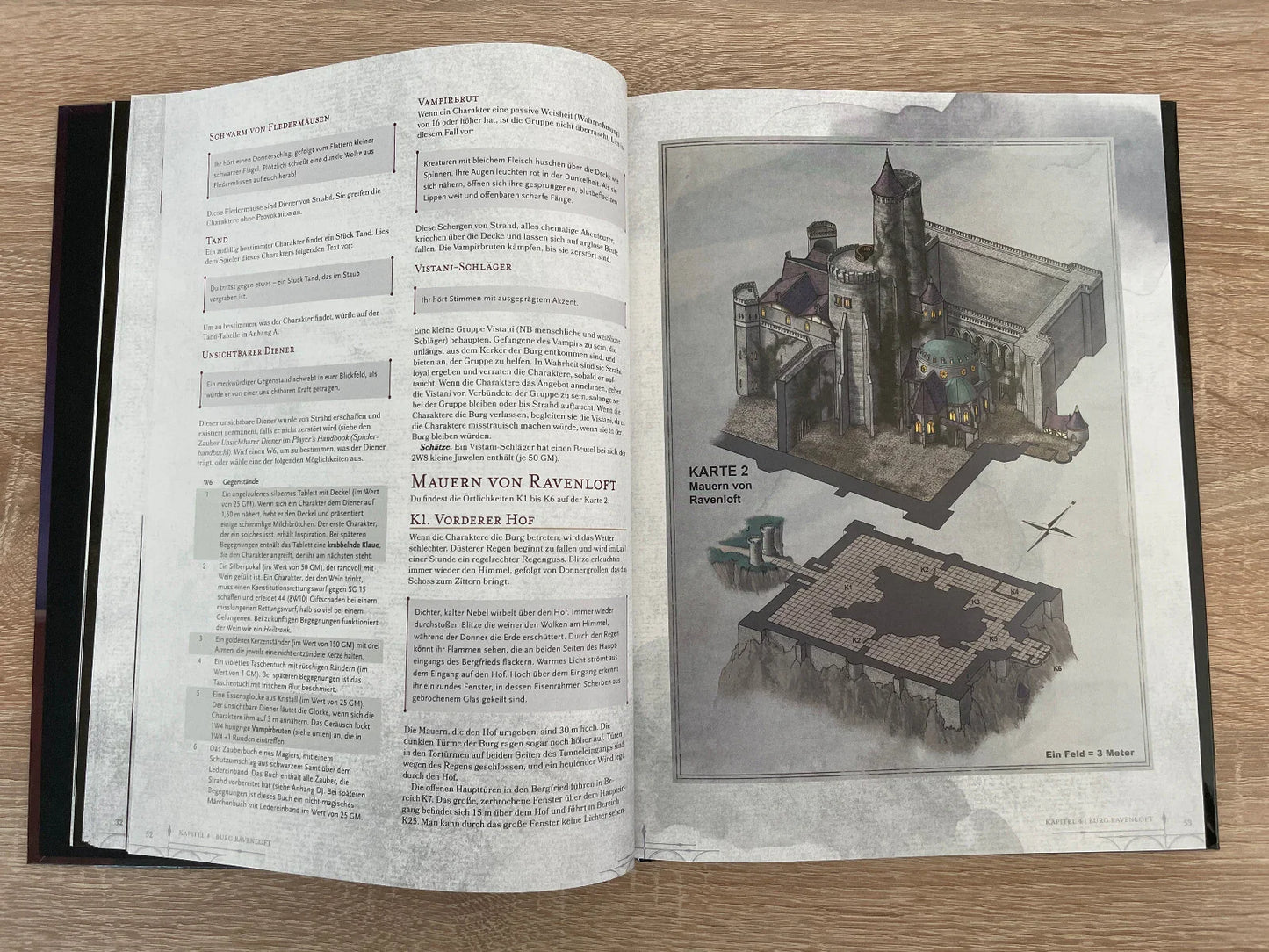 Dungeons & Dragons Fluch des Strahd