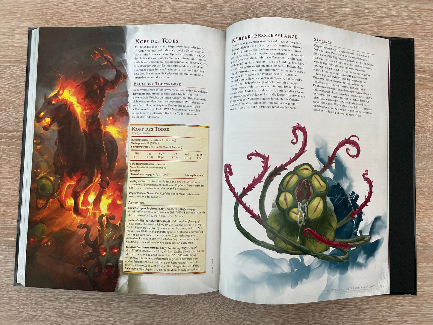 Dungeons & Dragons Van Richtens Ratgeber zu Ravenloft