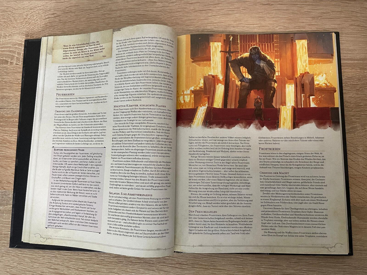 Dungeons & Dragons Volos Almanach der Monster