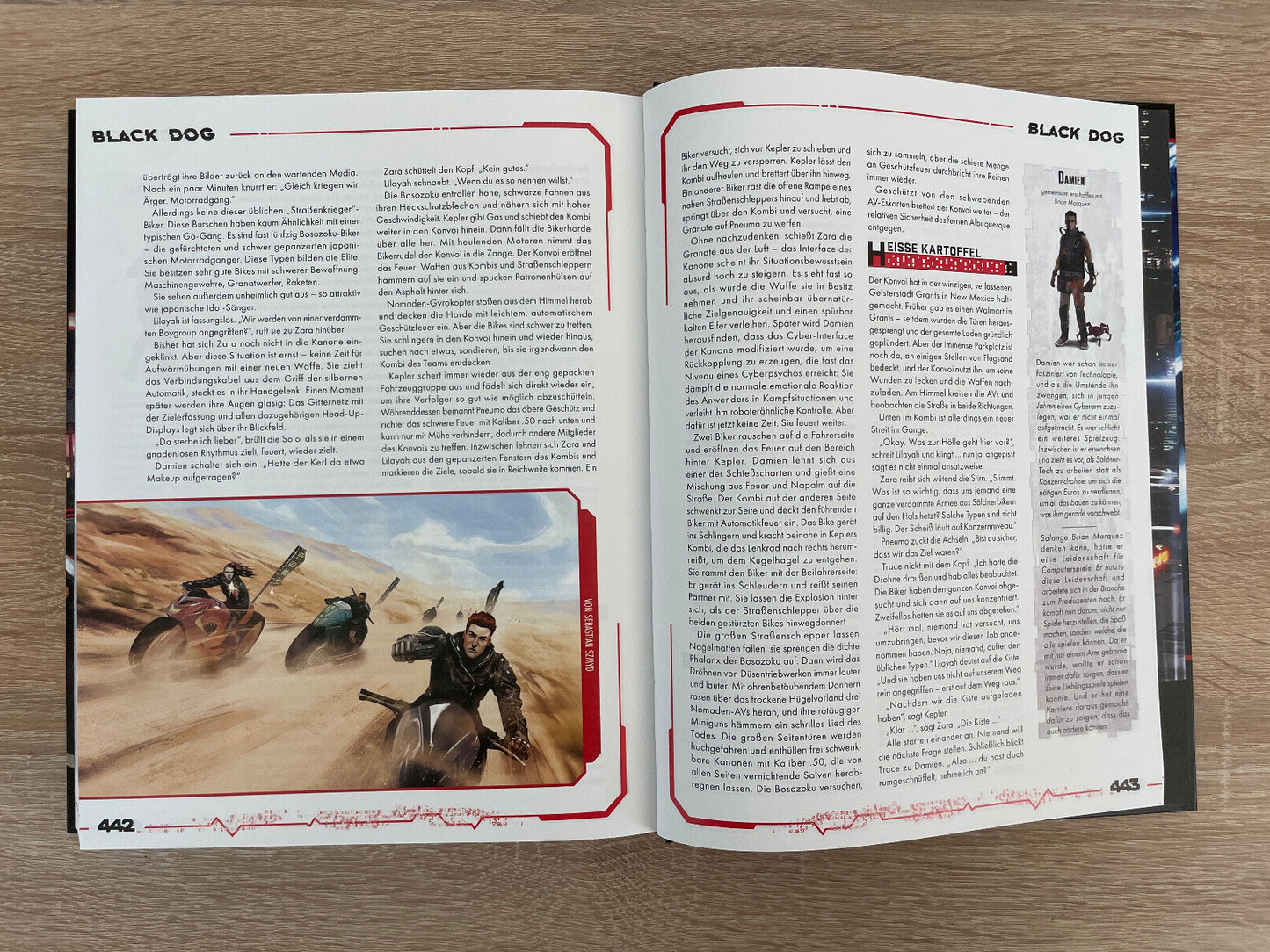 Cyberpunk Red Regelwerk - Das Rollenspiel der dunklen Zukunft