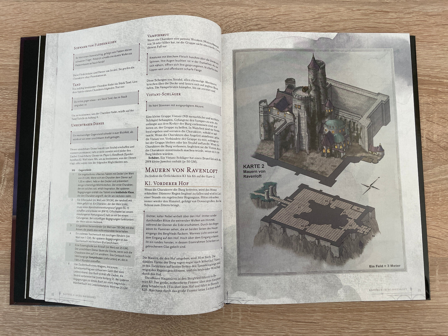 Dungeons & Dragons Fluch des Strahd