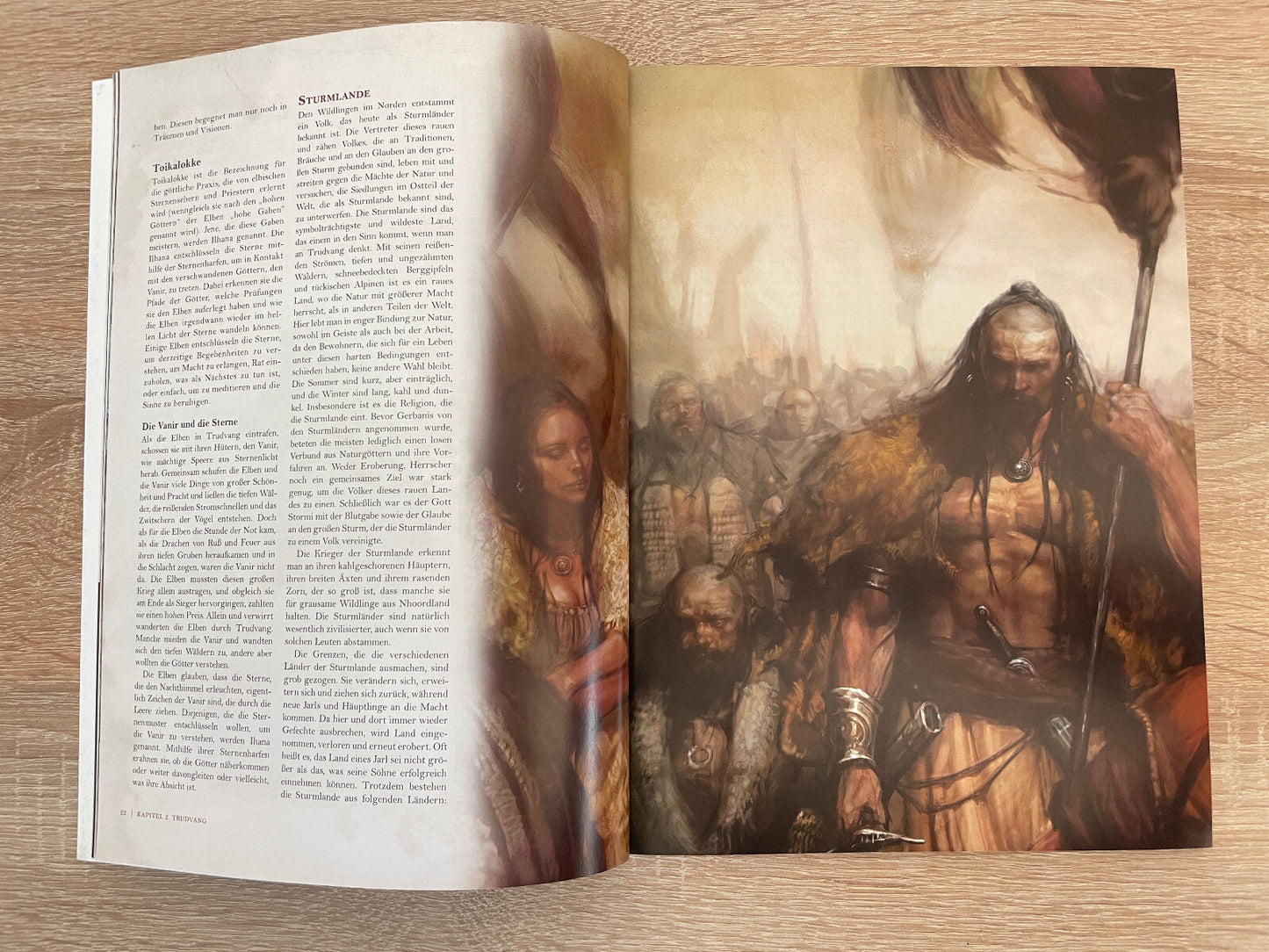 Trudvang Chronicles Grundregelwerk